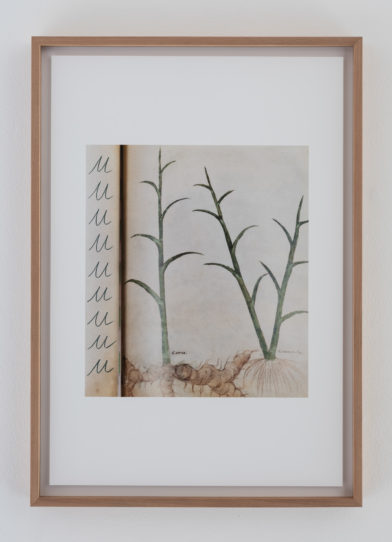 BARONIAN-Photos-Vincent-Everarts-029