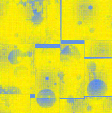 20.08.26 JAUNE ET BLEU