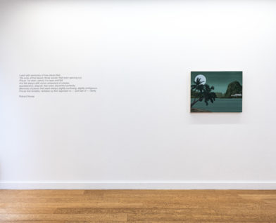 BARONIAN-Photos-Vincent-Everarts-010