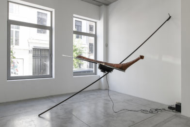 Per purificare le parole