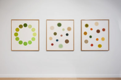 DavidNash_Baronian-Knokke_web 12