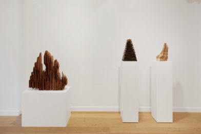 DavidNash_Baronian-Knokke_web 5