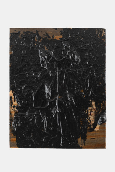 Untitled (Yellow pine) 01