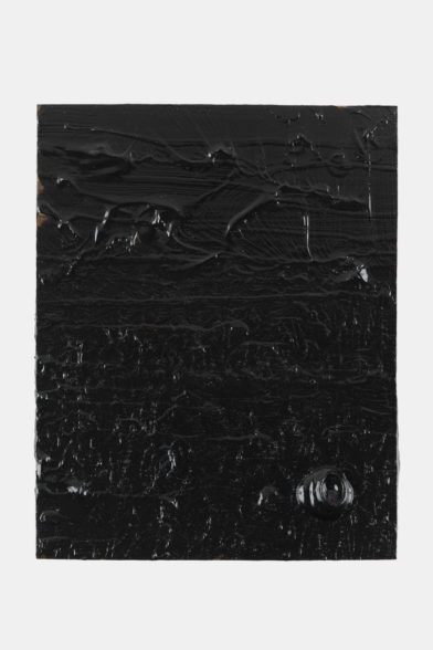 Untitled (Yellow pine) 03