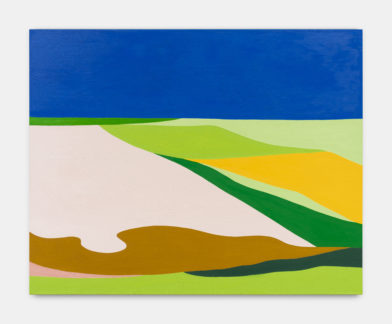 Colorblock Zwin Landscape