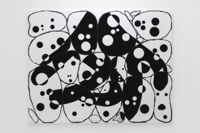 with invisible hand, gherkin, potato, onion